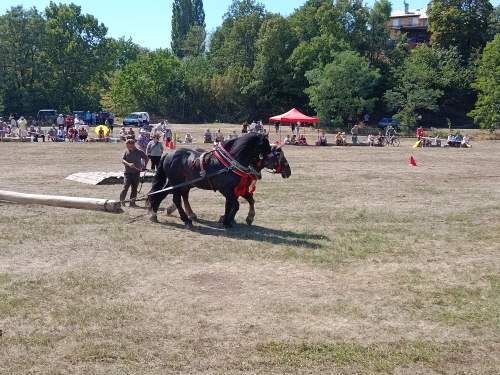 IMG_20260808_140026